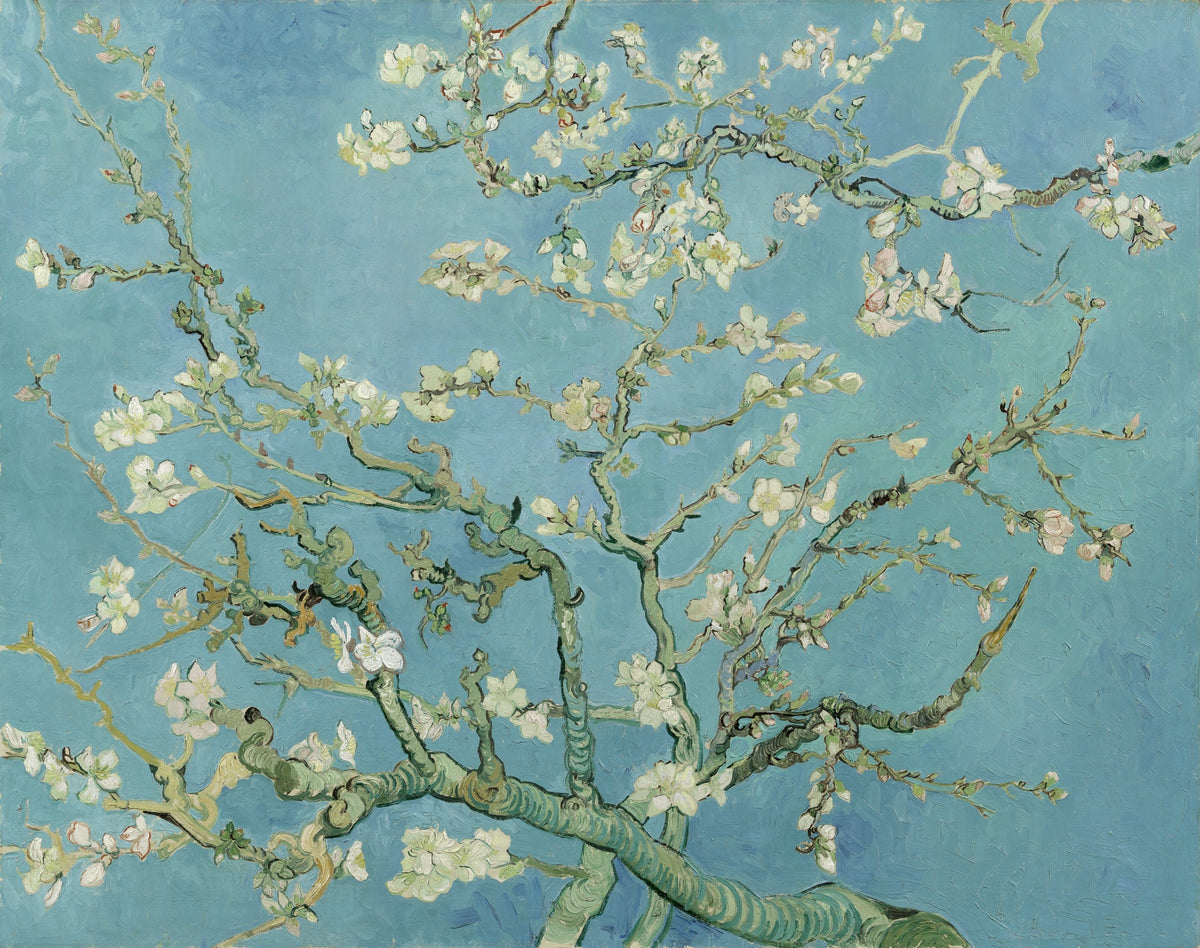 Amandier en fleurs de Vincent van Gogh
