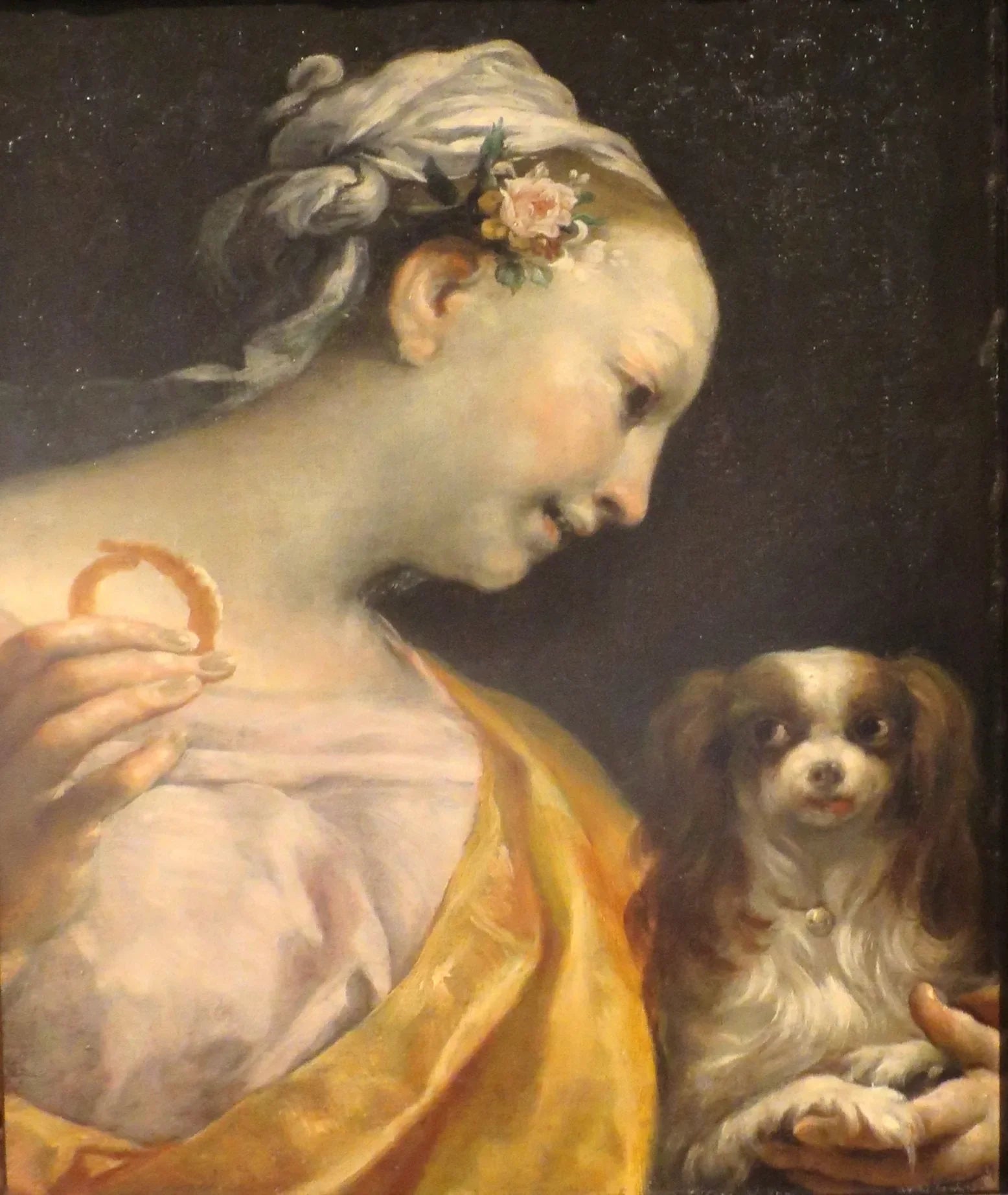 Une dame avec un chien - Giuseppe Maria Crespi image 1 reproduction réalisée par Alpha Reproduction
