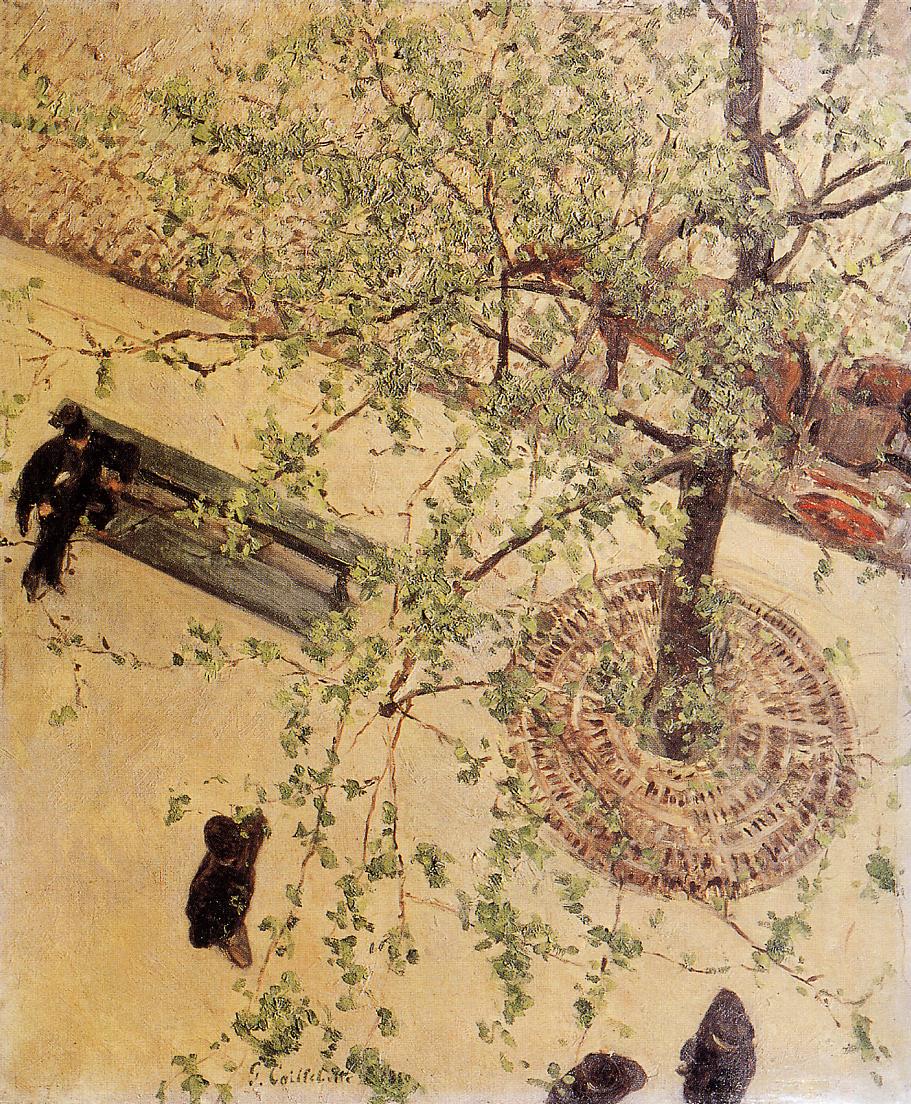 Le Boulevard vu d’en haut - Gustave Caillebotte