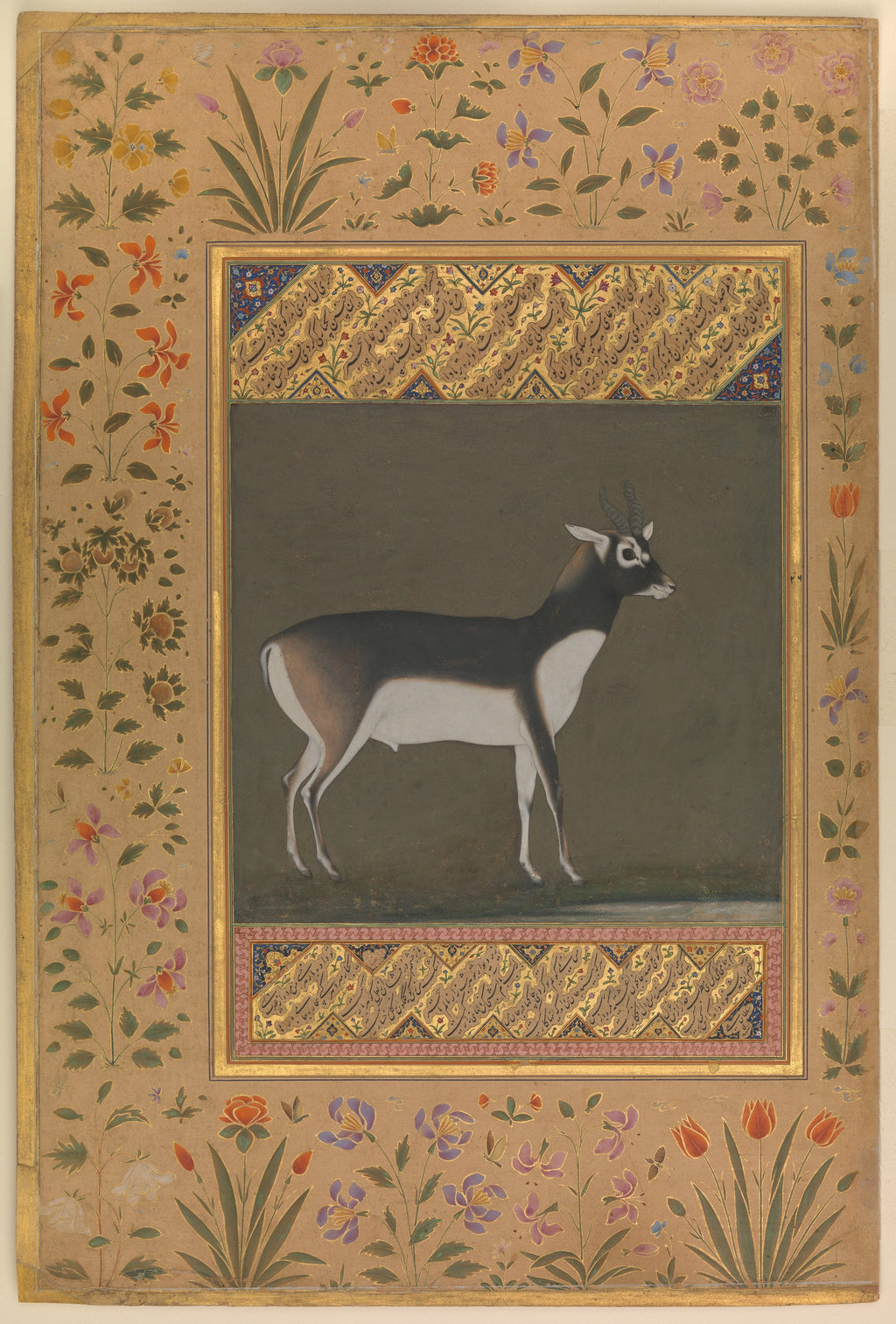 Manohar, "Black Buck", Folio from the Shah Jahan Album, recto: ca. 1615–20; verso: ca. 1530–50, The Metropolitan Museum of Art, New York