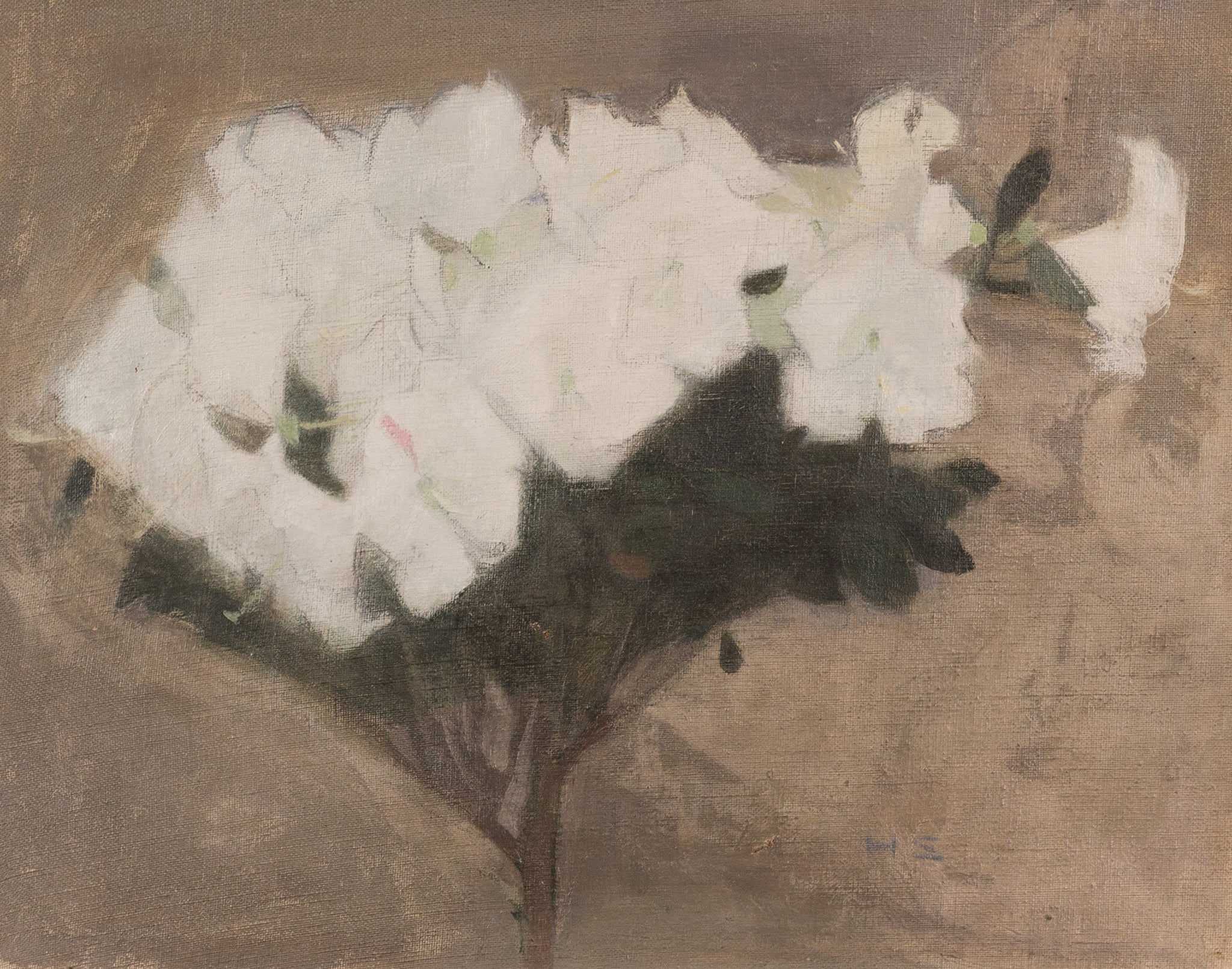 Atsalea - Helene Schjerfbeck