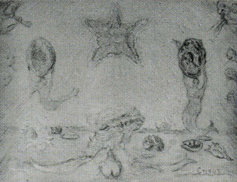 Starry Rays - James Ensor