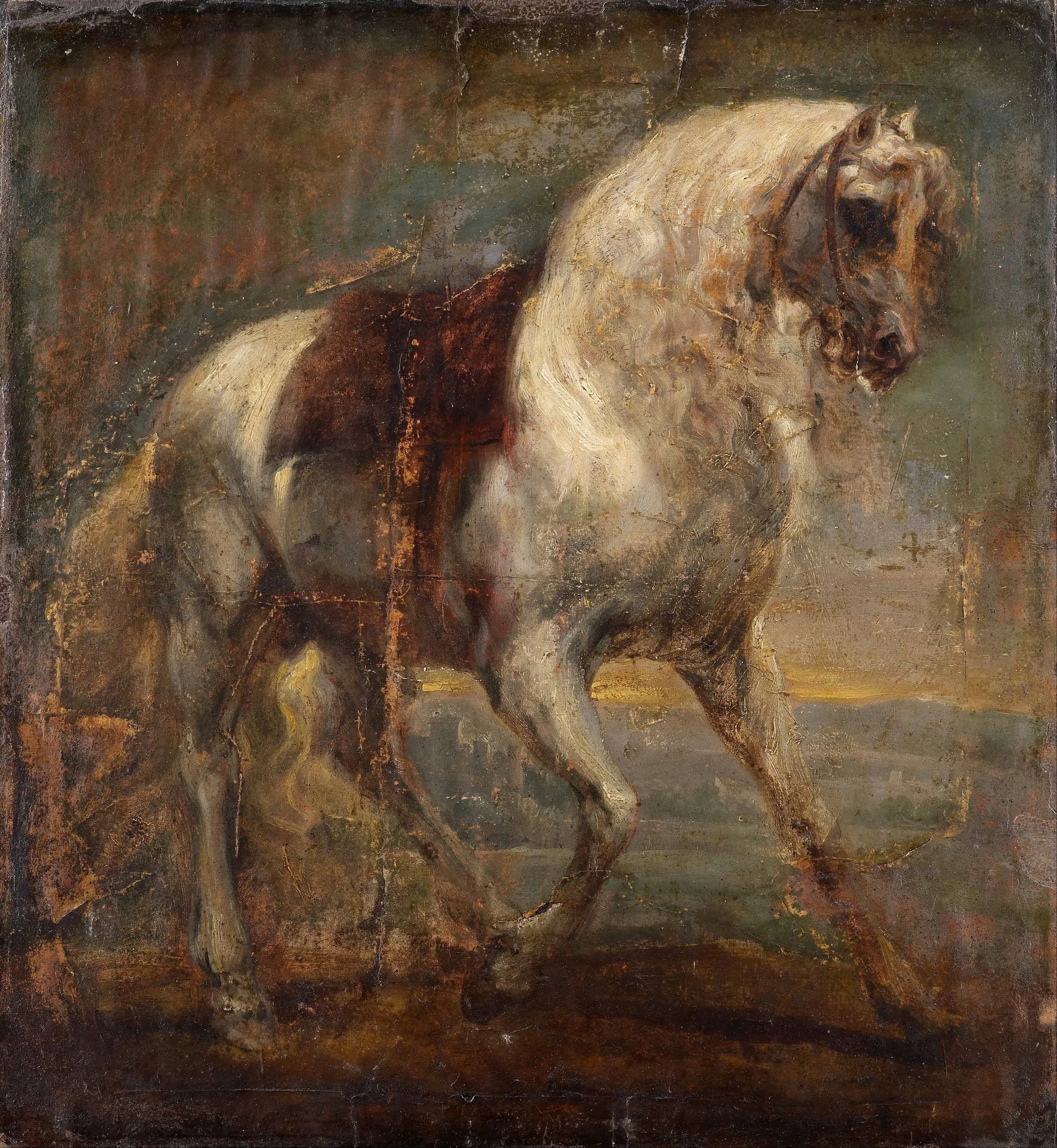 Un cheval gris - Antoine van Dyck image 1 reproduction artisanale de tableau