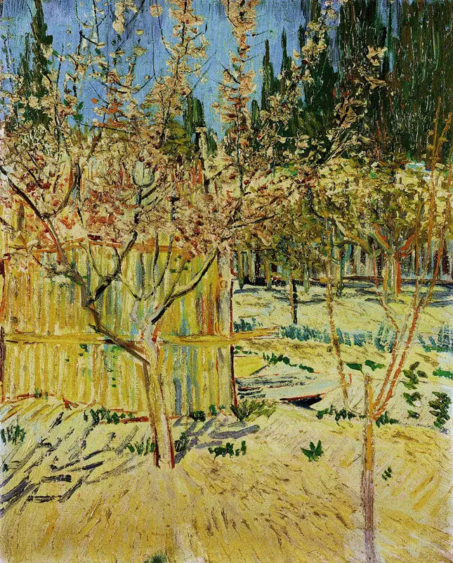 Abricotiers en fleurs - Vincent van Gogh