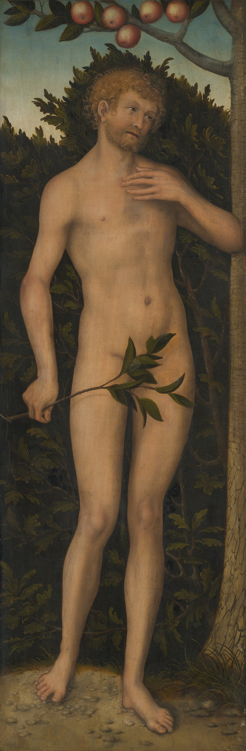 Adam (Chicago, 1533–1537) - Lucas Cranach the Elder