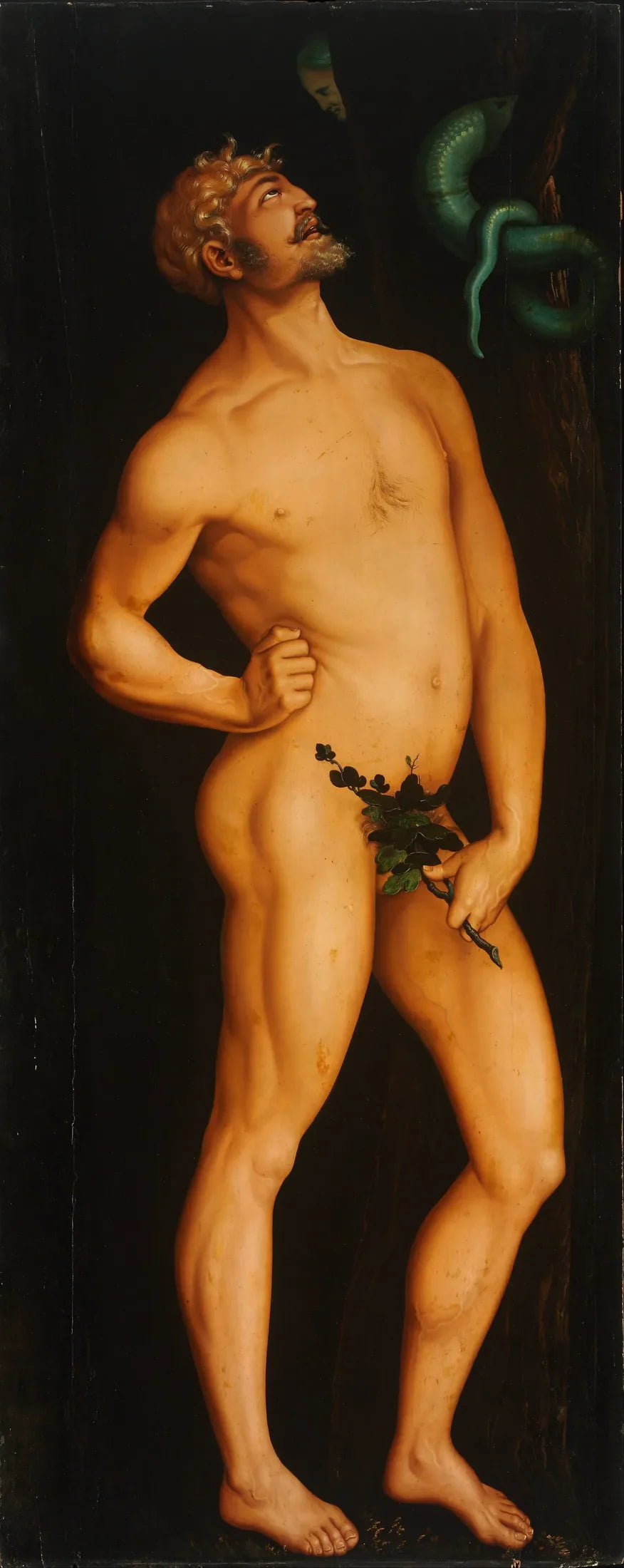 Adam - Hans Baldung Grien image 1 reproduction de peinture à l’huile