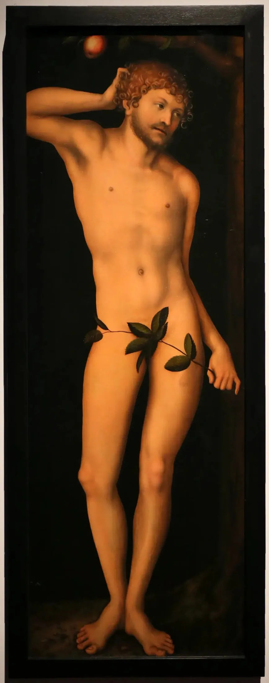 Adam - Lucas Cranach the Elder image 1 tableau peint à l’huile sur toile