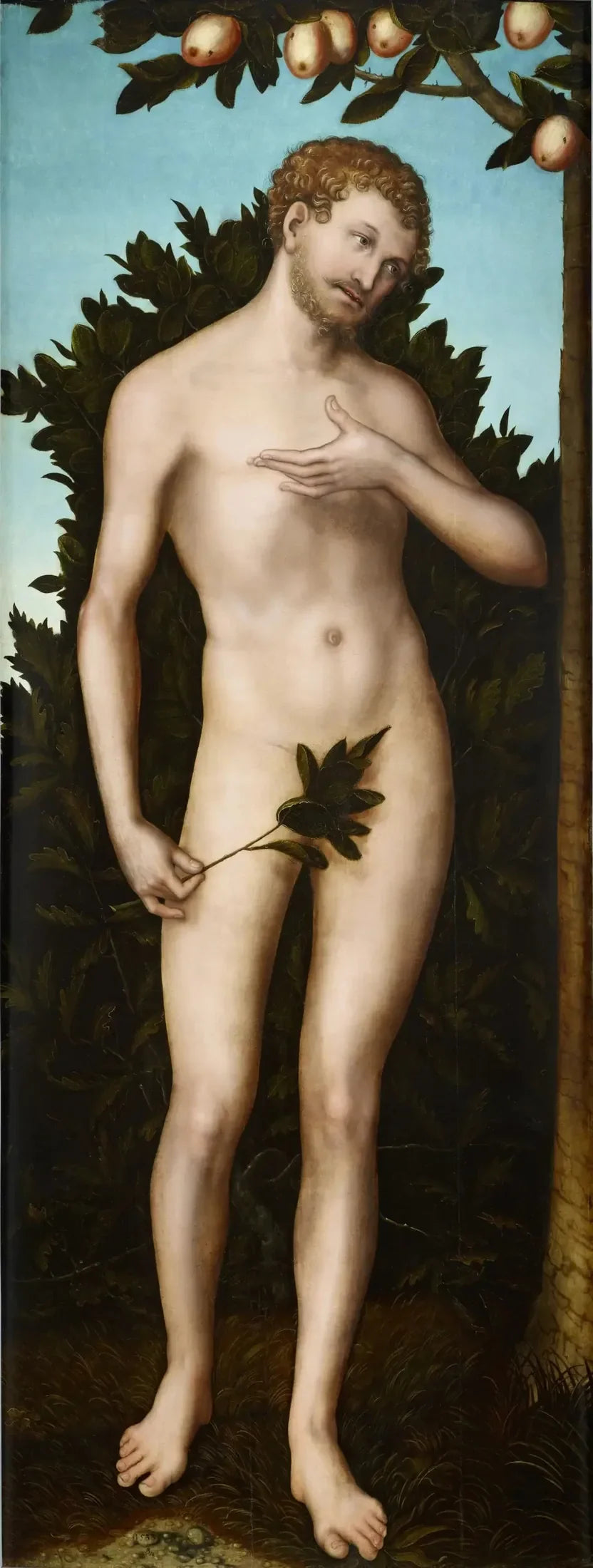 Adam - Lucas Cranach the Elder image 1 copie peinte à la main à l’huile