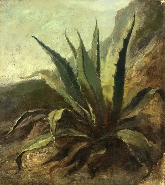 Agave au Maroc - Eugène Delacroix image 1 copie de tableau peinte à la main