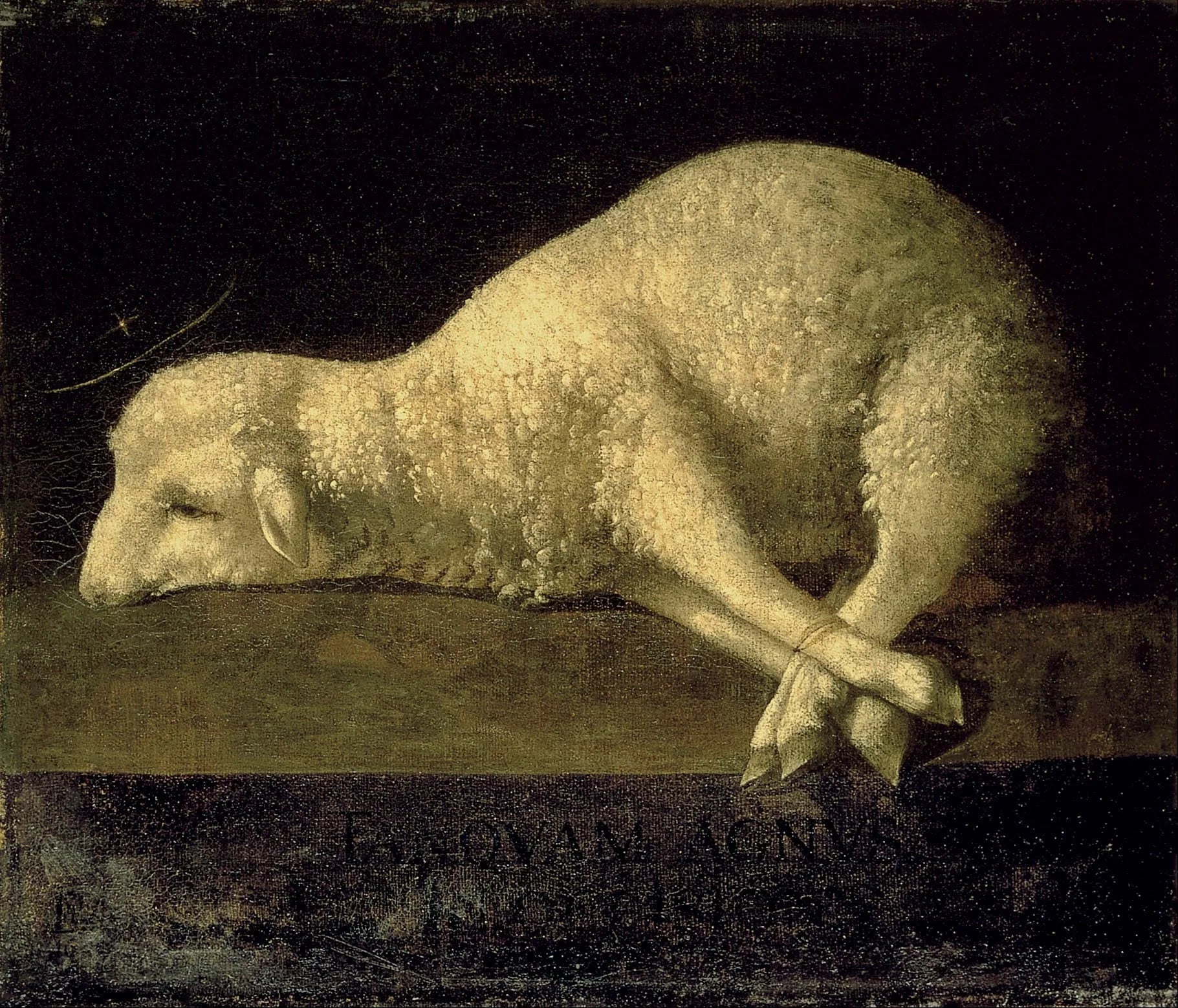 Agnus Dei (1639) - Francisco de Zurbarán image 1 copie peinte à la main à l’huile