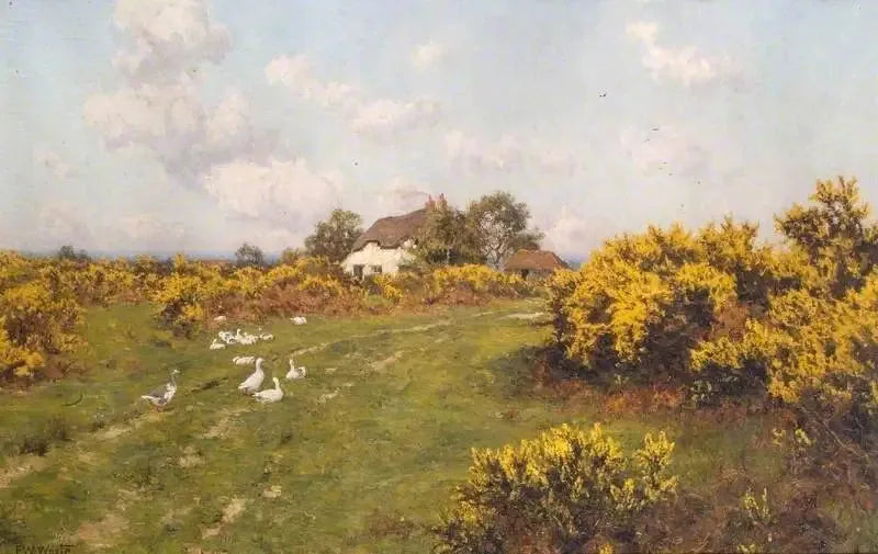 Ajoncs sur un terrain communal du Berkshire (Bucklebury Common) - Edward Wilkins Waite image 1 reproduction artisanale de tableau