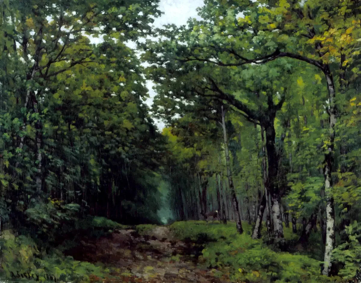 Allée de châtaigniers près de La Celle Saint-Cloud - Alfred Sisley image 1 copie peinte à la main à l’huile