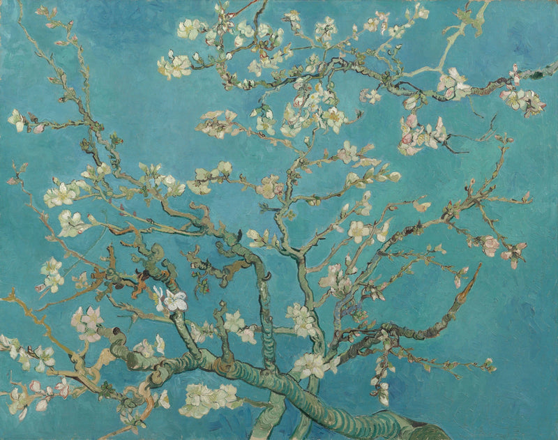 Квітучий мигдаль - Vincent van Gogh