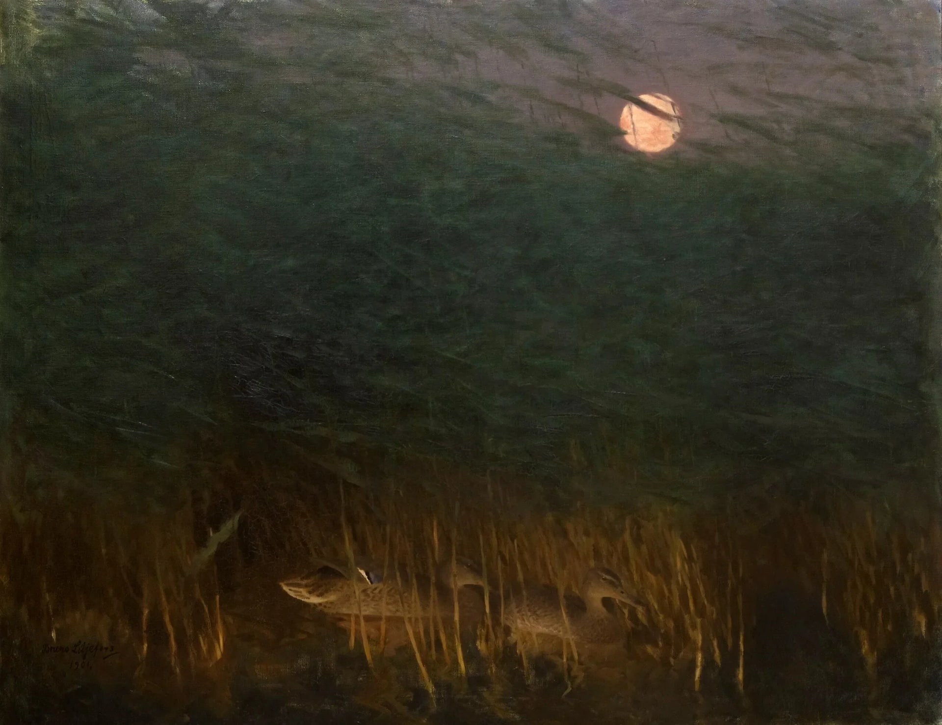 Ambiance nocturne avec des canards sauvages - Bruno Liljefors image 1 reproduction artisanale de tableau