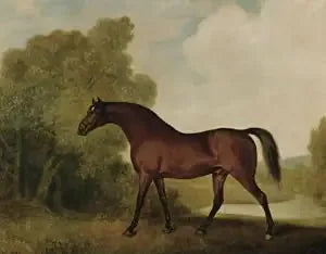 Ambrosio, un étalon bai, propriété de Thomas Haworth - George Stubbs image 1 copie de tableau peinte à la main