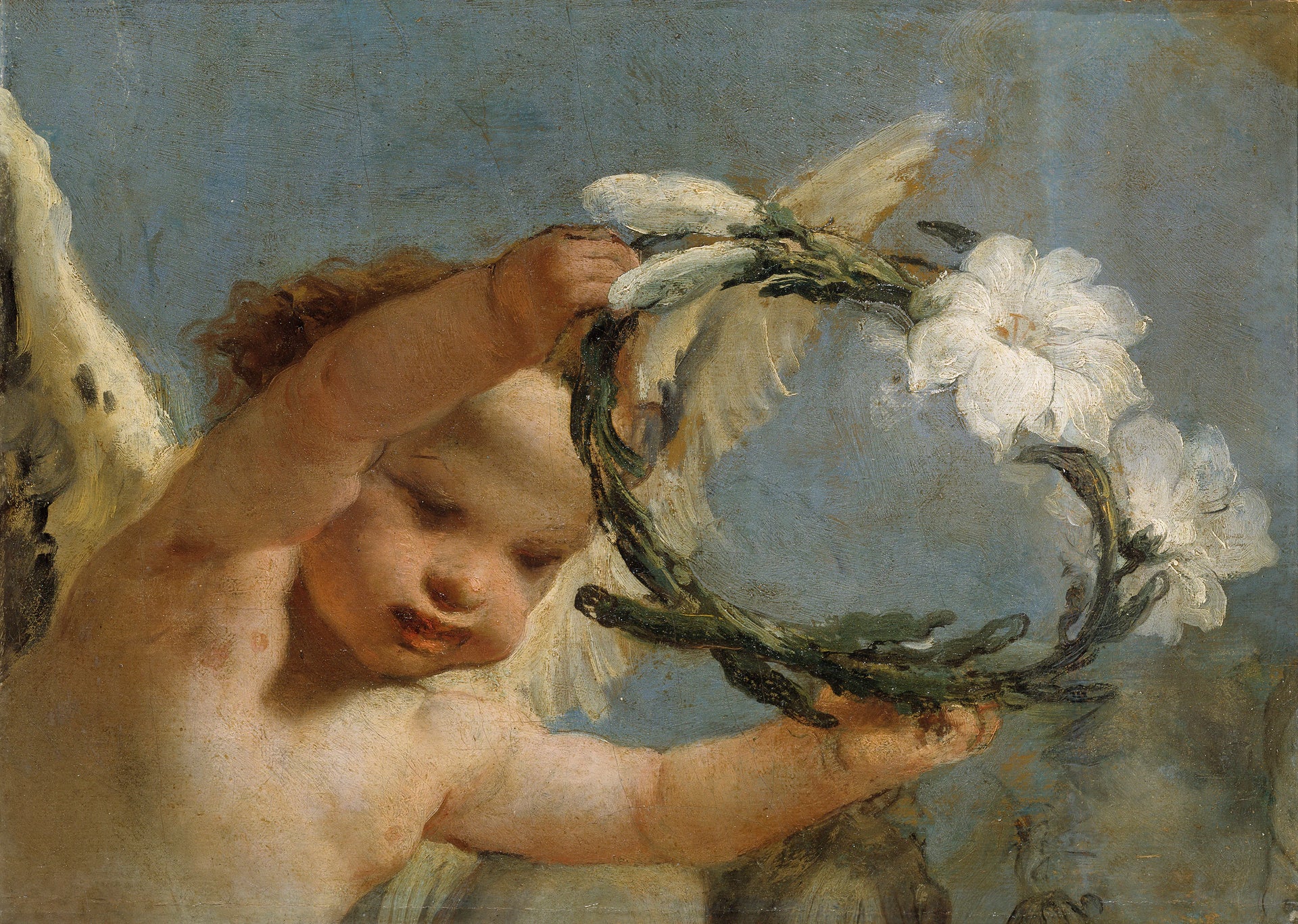 Ange avec une couronne de lys - Giambattista Tiepolo