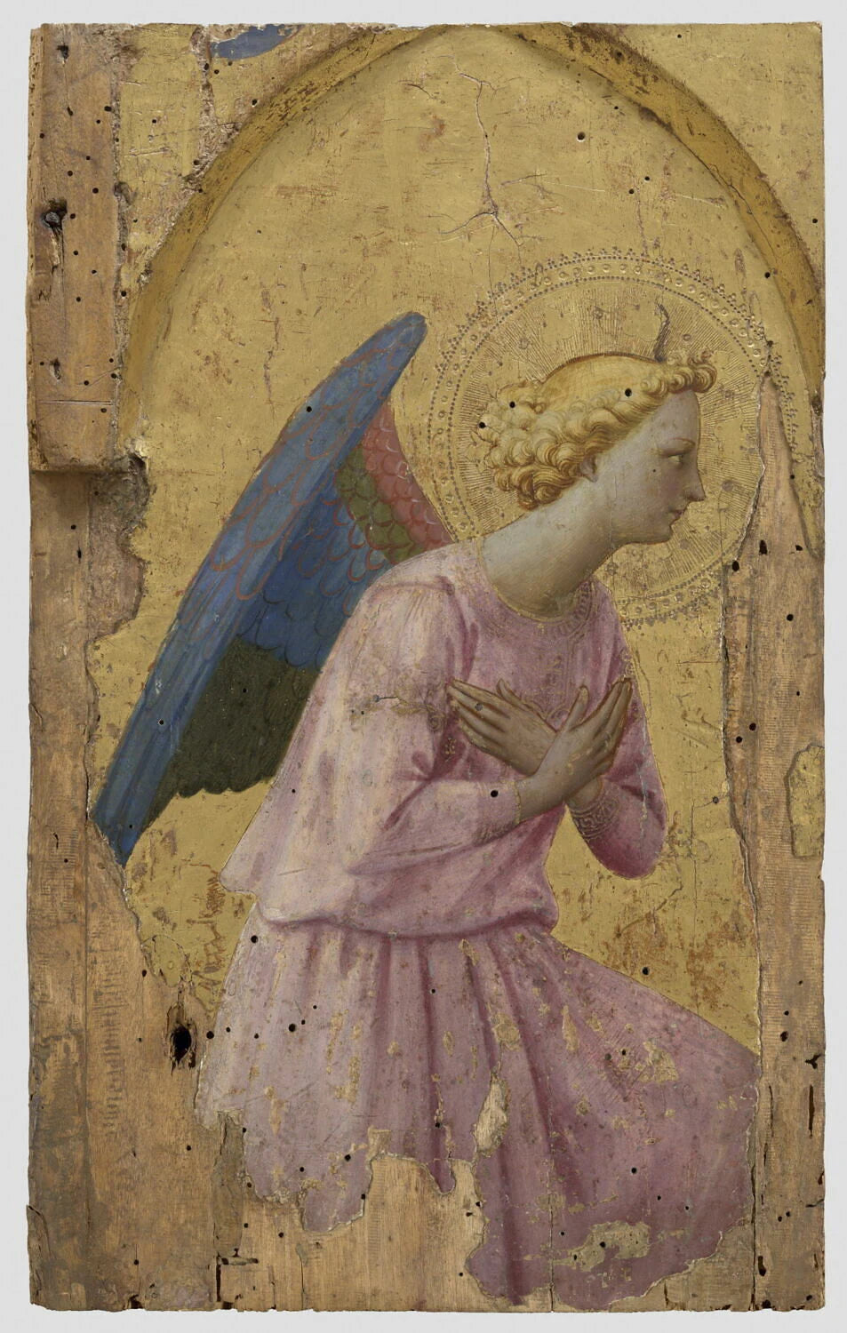 Ange en adoration - Fra Giovanni da Fiesole Fra Angelico