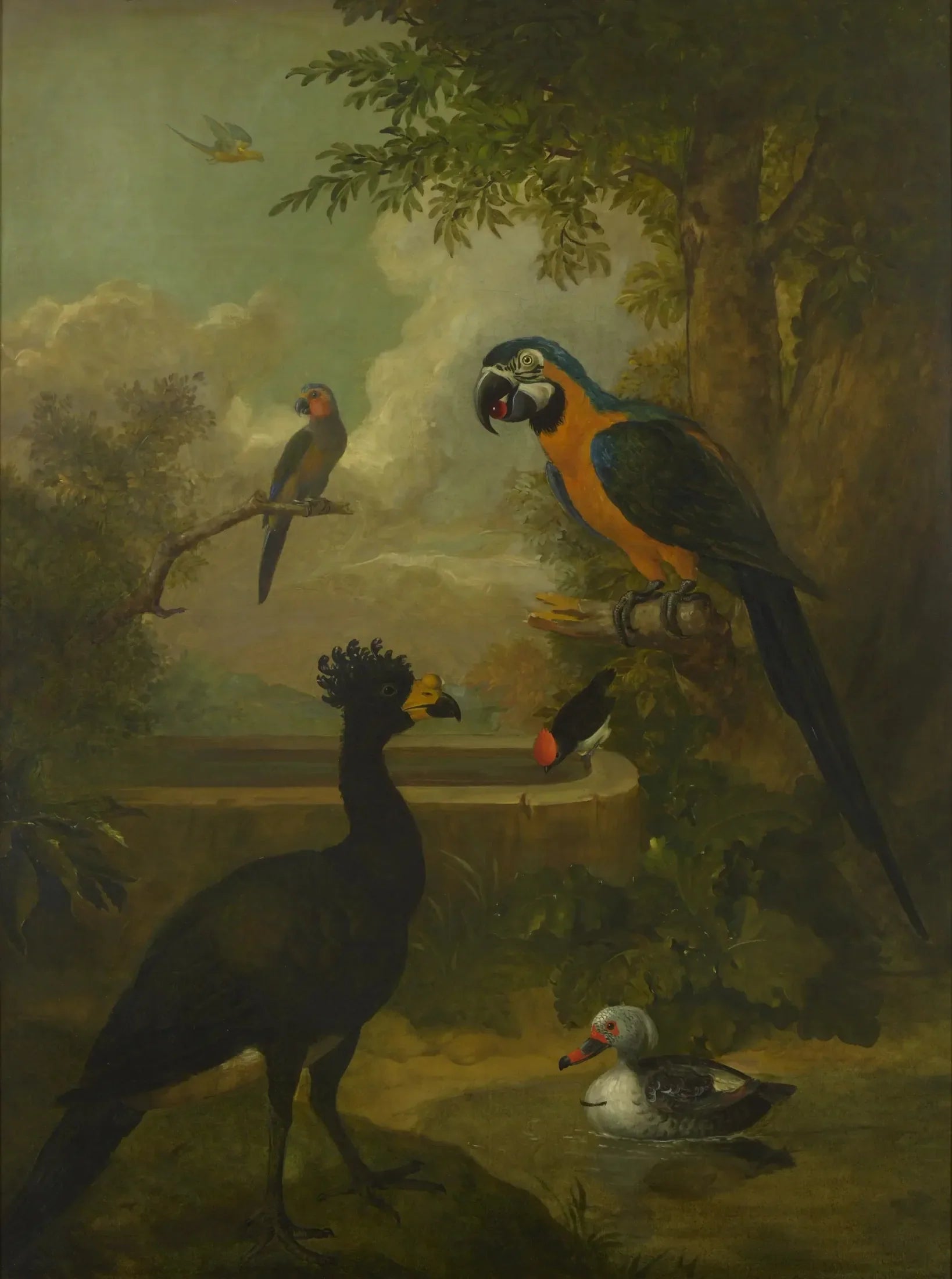 Ara et autres oiseaux dans un paysage - Tobias Stranover image 1 tableau peint à l’huile sur toile