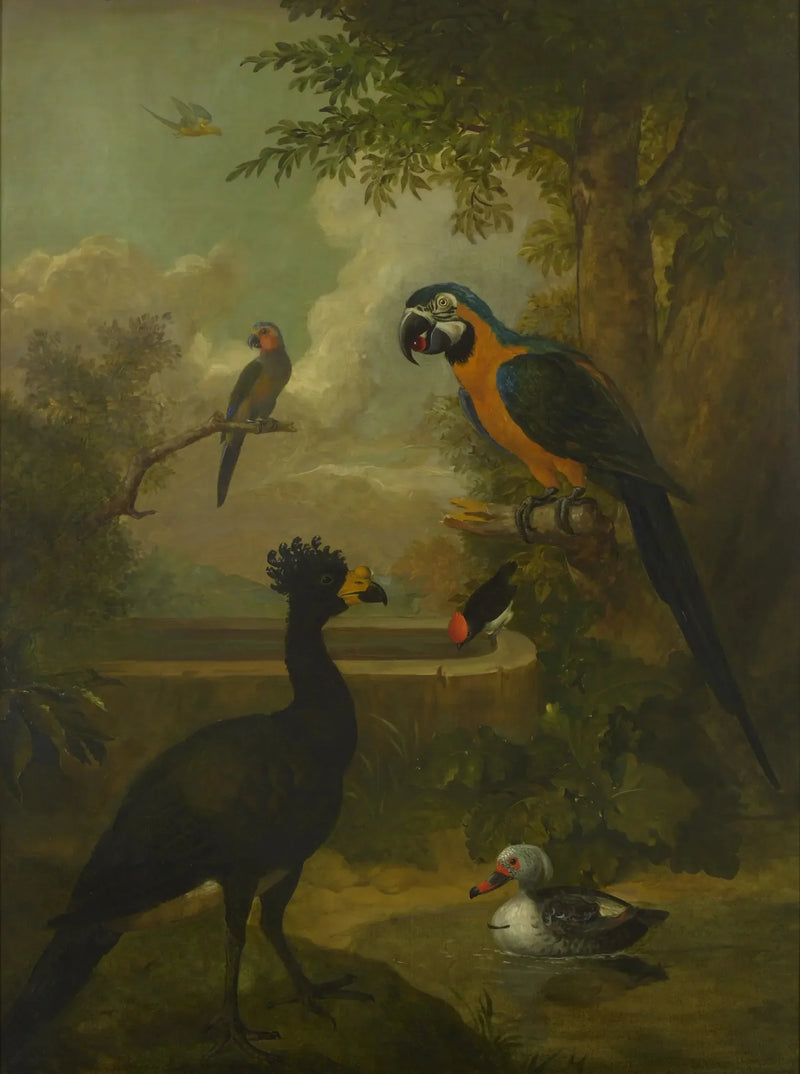 Ara et autres oiseaux dans un paysage - Tobias Stranover
