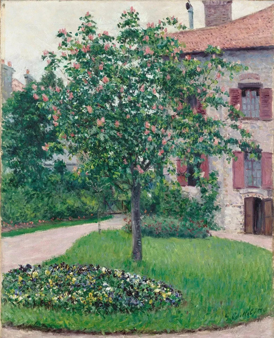 Arbre en fleurs - Gustave Caillebotte