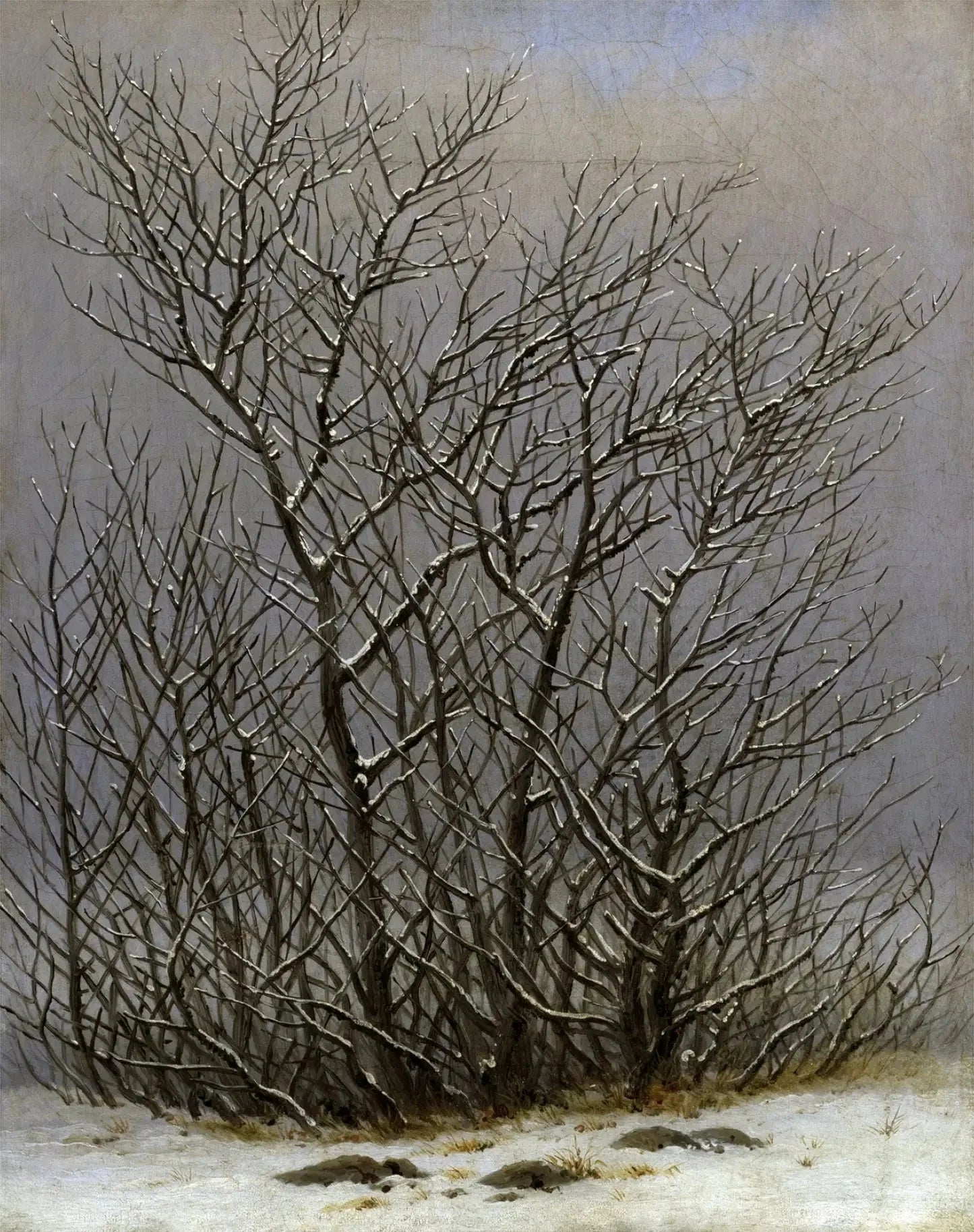 Arbres et arbustes sous la neige - Caspar David Friedrich image 1 copie peinte à la main à l’huile