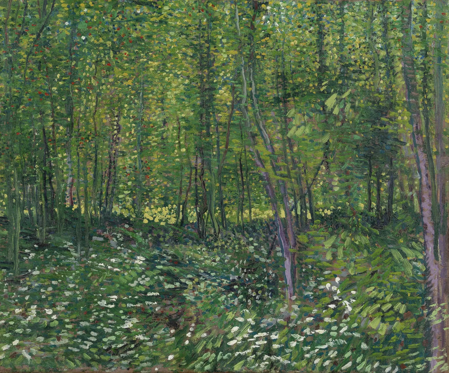 Arbres et sous-bois - Vincent van Gogh