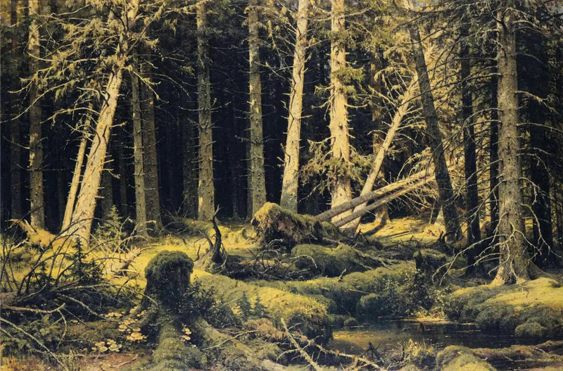 Arbres tombés par le vent - Ivan Chichkine