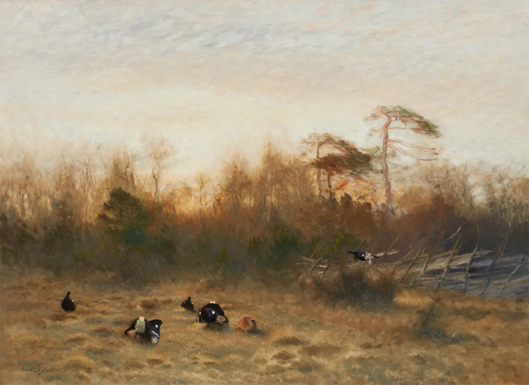 arène de tétras lyre - Bruno Liljefors image 1 reproduction réalisée par Alpha Reproduction