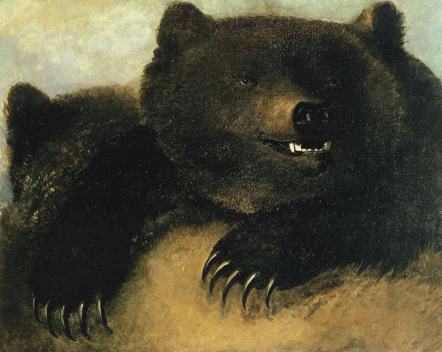 Armes et physionomie de l'ours grizzli - George Catlin image 1 tableau peint à l’huile sur toile