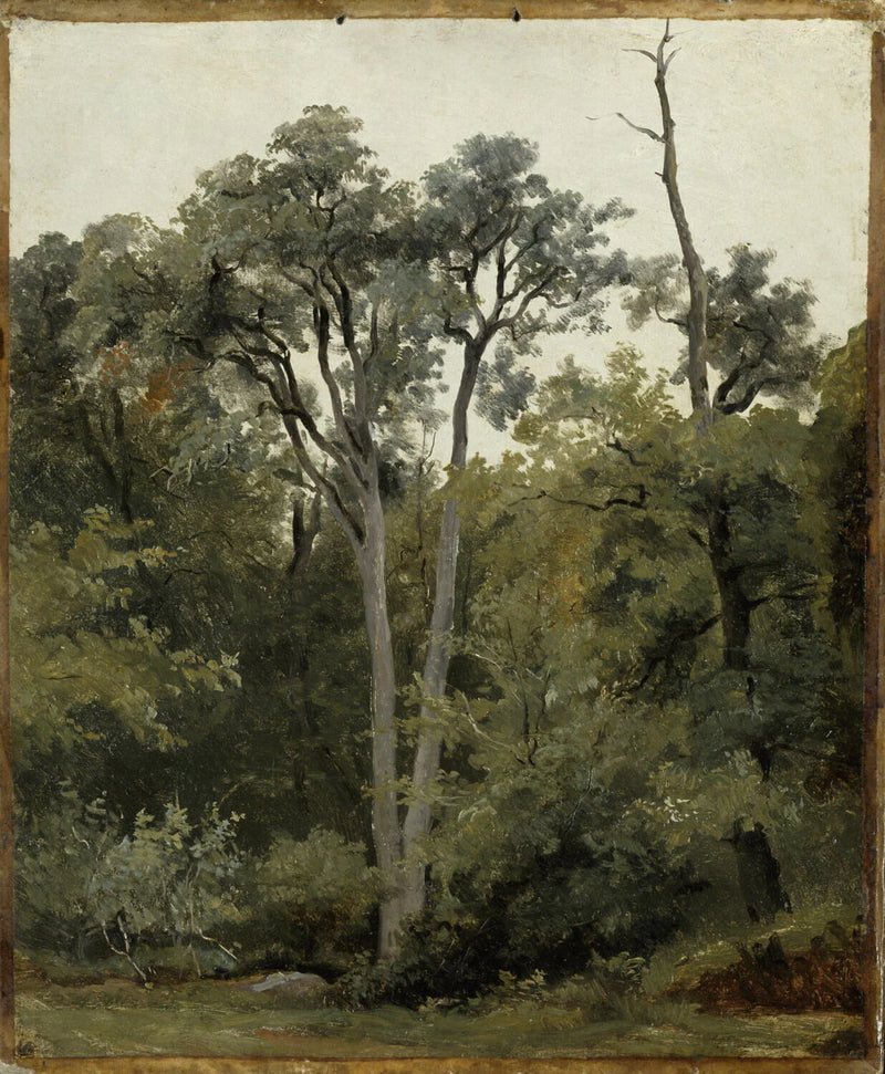 Au Bas-Bréau, à Chailly - Robert-Léopold Leprince