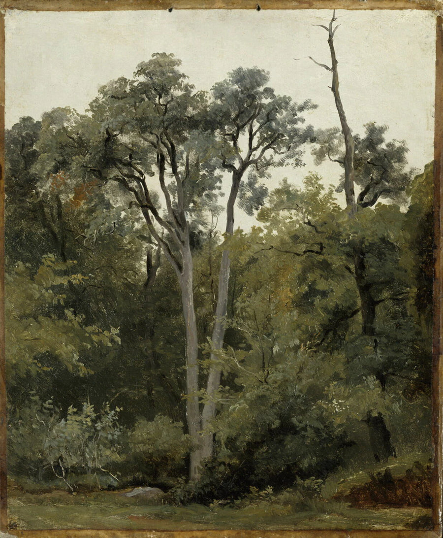 Au Bas-Bréau, à Chailly - Robert-Léopold Leprince