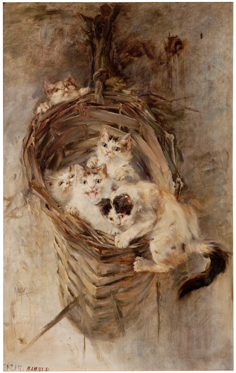 Au bord de la falaise - Alejandro Seiquer López