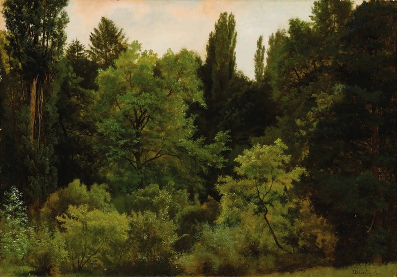 Au cœur des Rocheuses - Albert Bierstadt