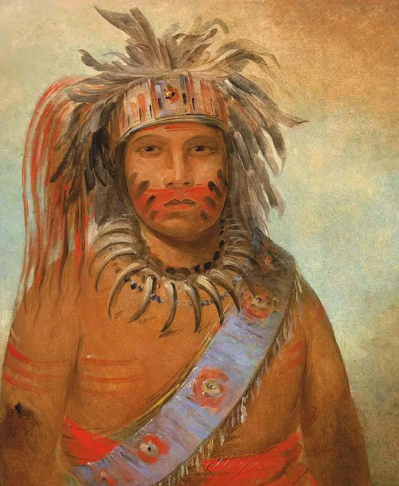 Au-nim-muck-kwa-um, oiseau de la tempête - George Catlin