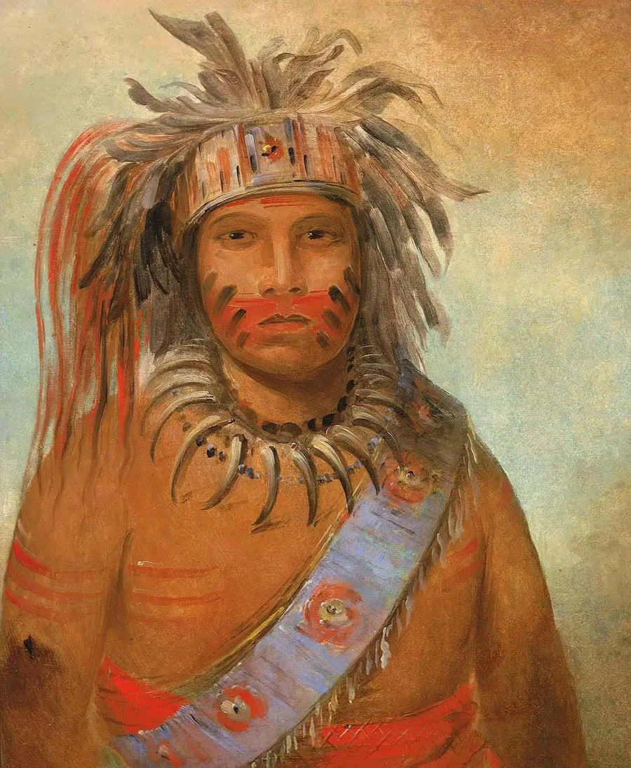 Au-nim-muck-kwa-um, oiseau de la tempête - George Catlin