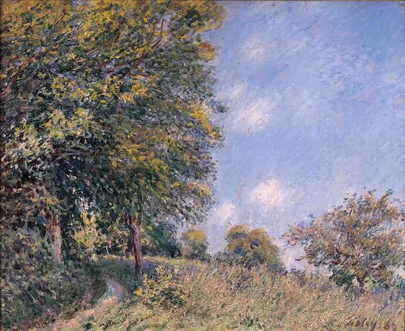 Autour de la forêt, matinée de juillet - Alfred Sisley