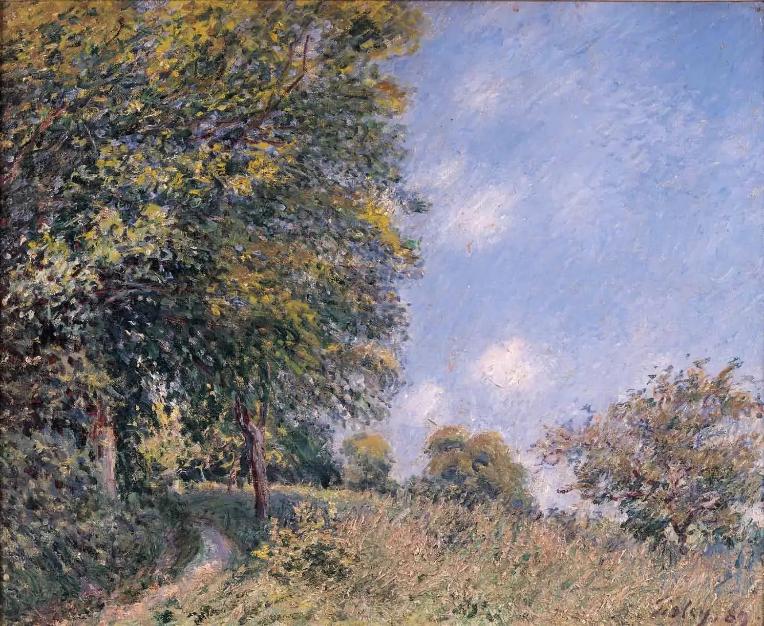 Autour de la forêt, matinée de juillet - Alfred Sisley image 1 copie peinte à la main à l’huile