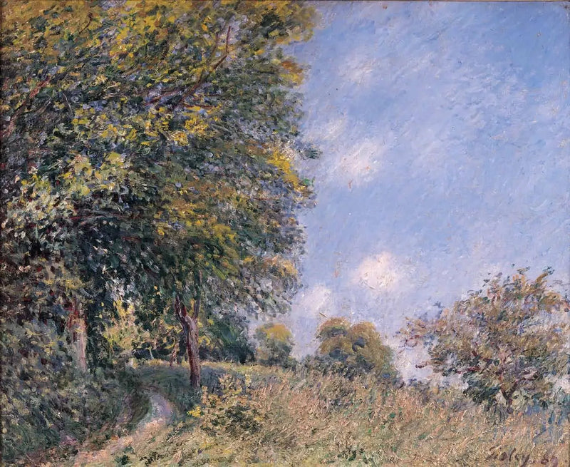 Autour de la forêt, matinée de juillet - Alfred Sisley