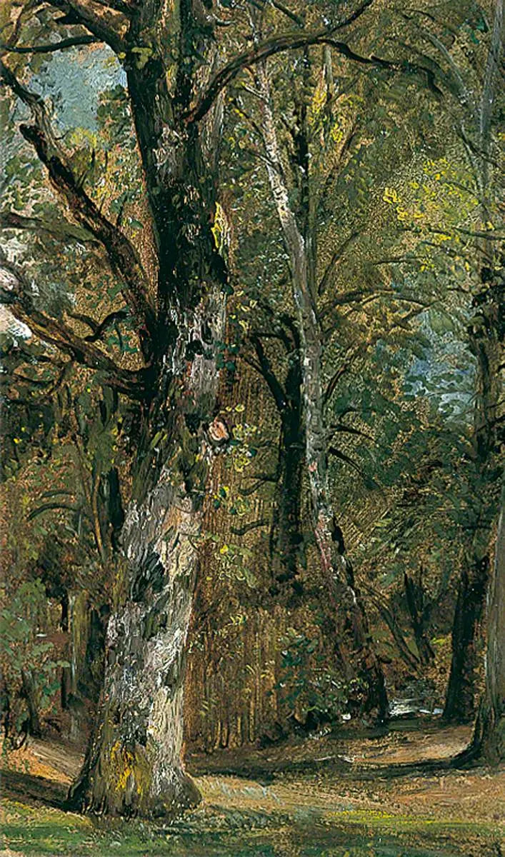 Avenue des Arbres - John Constable image 1 copie peinte à la main à l’huile