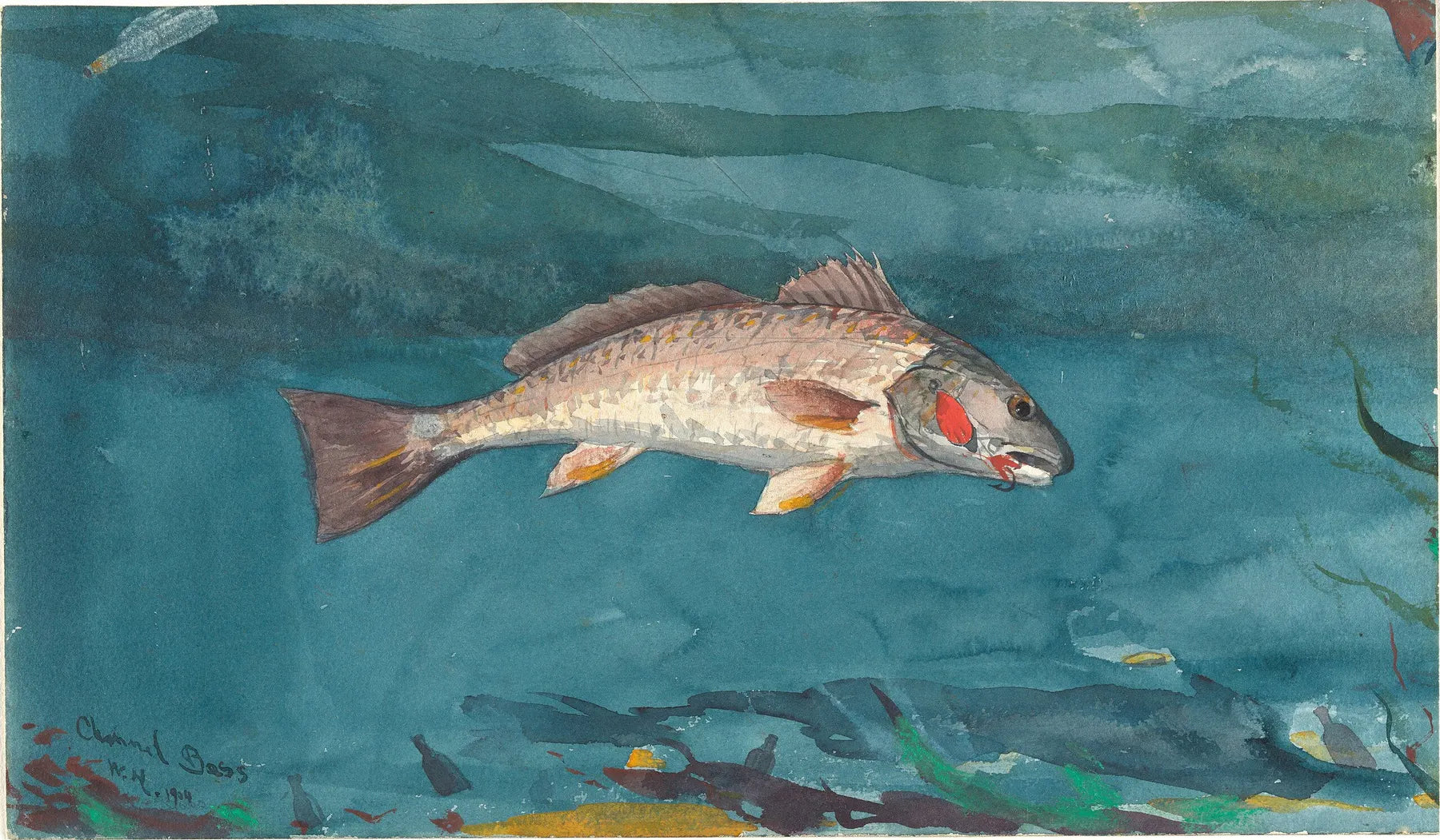 Basse de canal - Winslow Homer image 1 reproduction réalisée par Alpha Reproduction