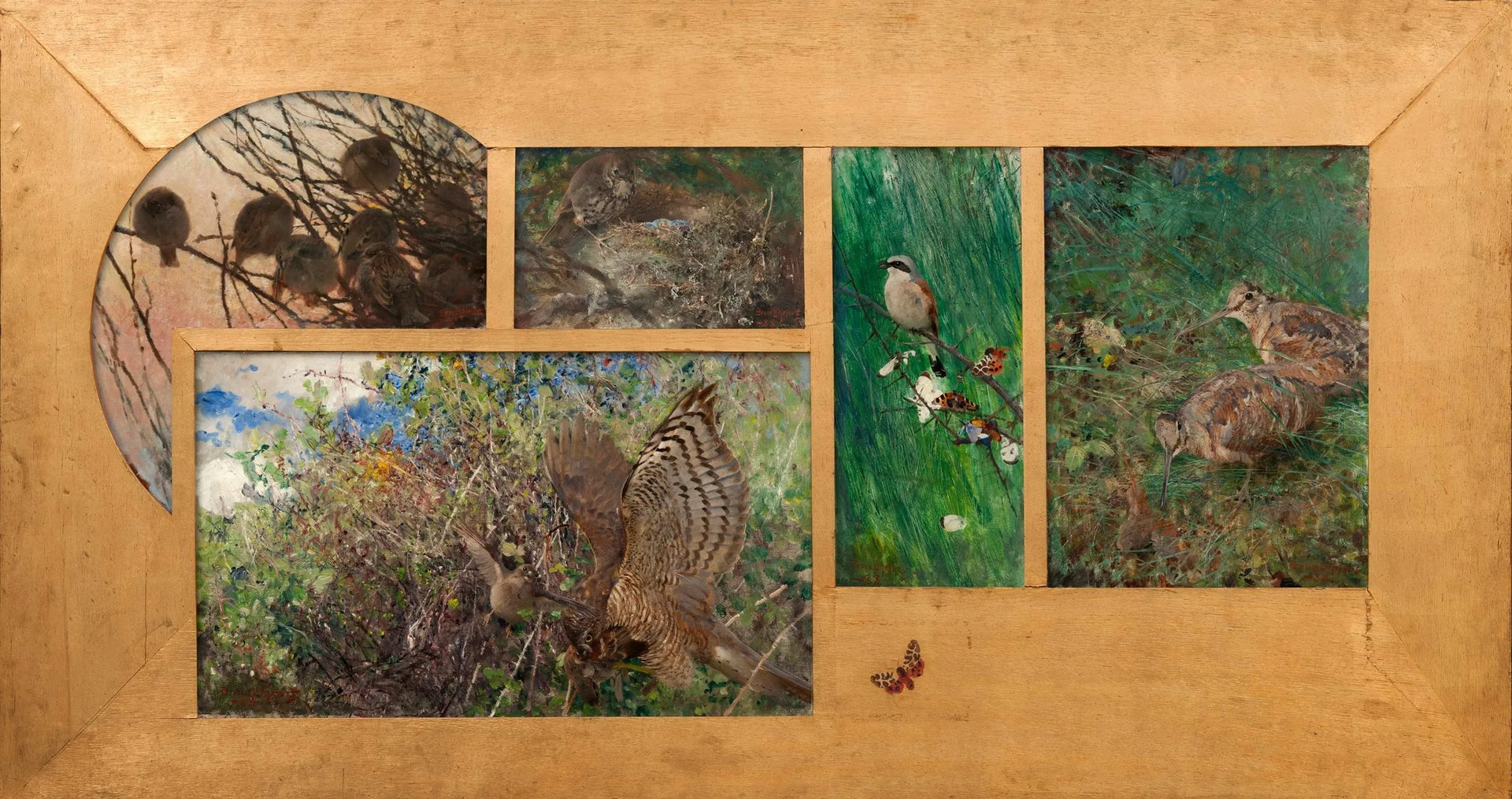 Bécasse des bois, Pie-grièche écorcheur, Grive dans son nid, Épervier de proie, Moineaux - Bruno Liljefors image 1 reproduction de peinture à l’huile