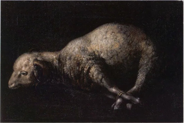 Bélier aux pieds attachés - Francisco de Zurbarán image 1 copie peinte à la main à l’huile