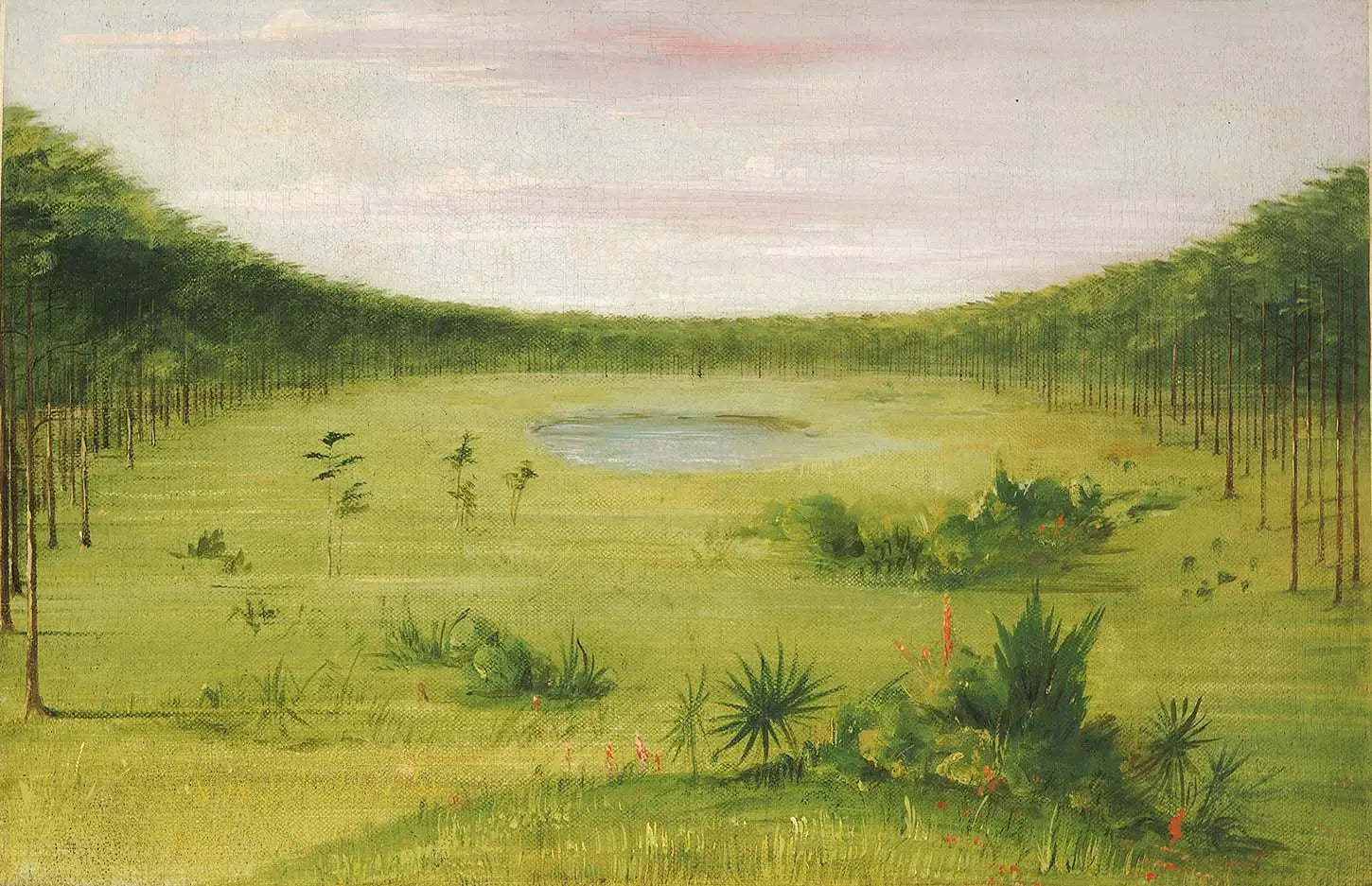 Belle savane dans les pinèdes de Floride - George Catlin image 1 copie de tableau peinte à la main