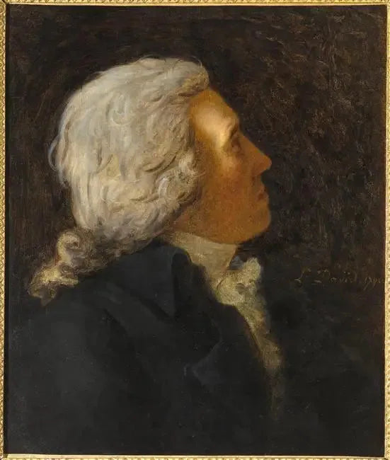 Bertrand Barère de Vieuzac (1755-1841) - Jacques-Louis David image 1 reproduction d’œuvre d’art à l’huile
