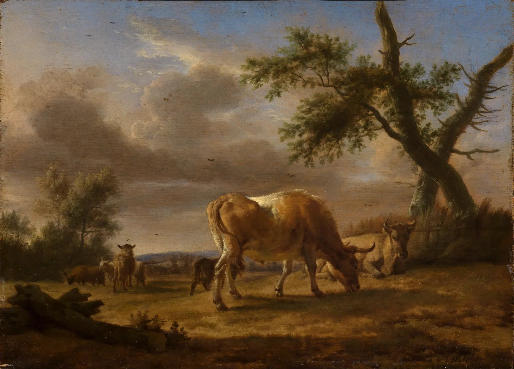 Bétail au pâturage - Adriaen van de Velde image 1 copie de tableau peinte à la main