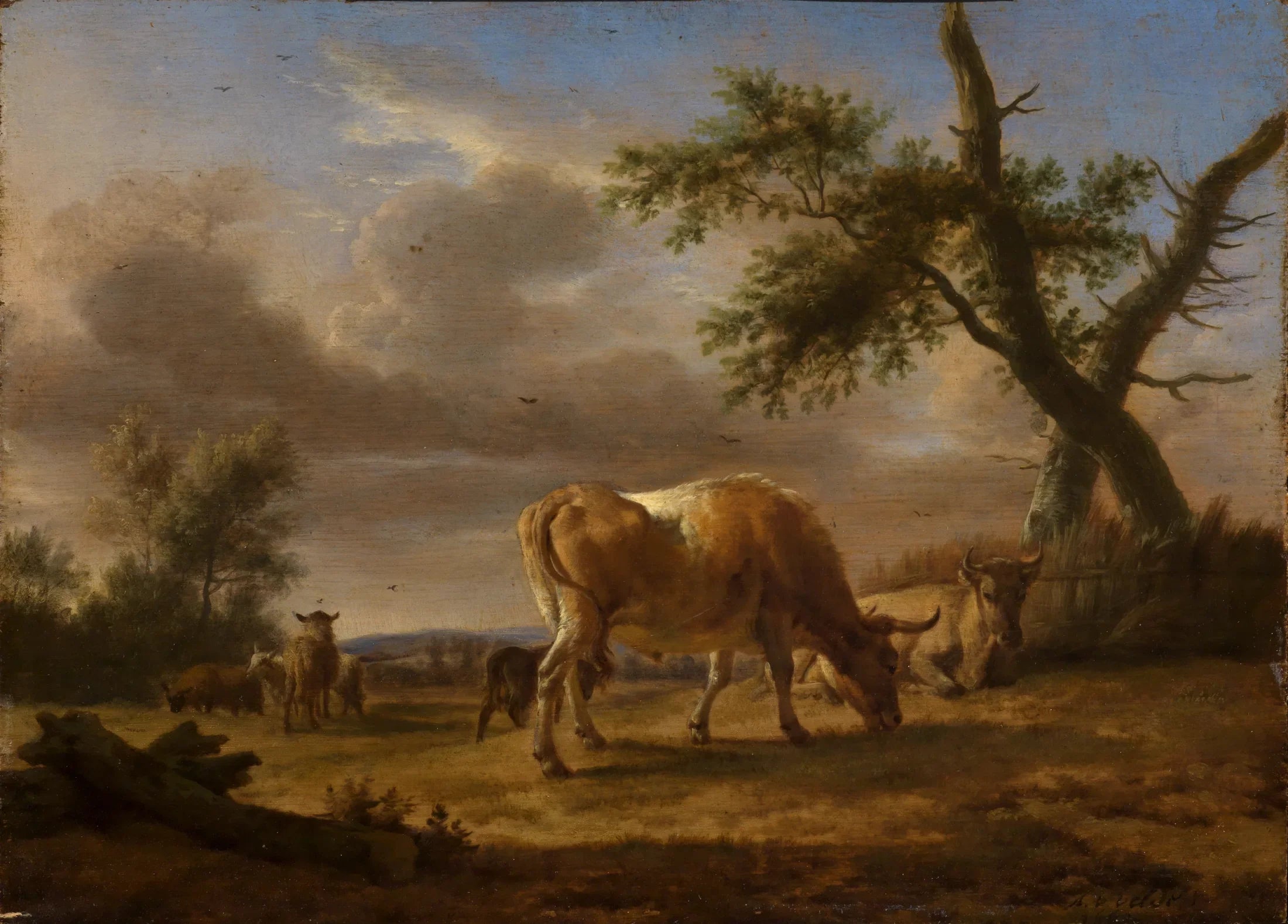 Bétail au pâturage - Adriaen van de Velde image 1 copie de tableau peinte à la main