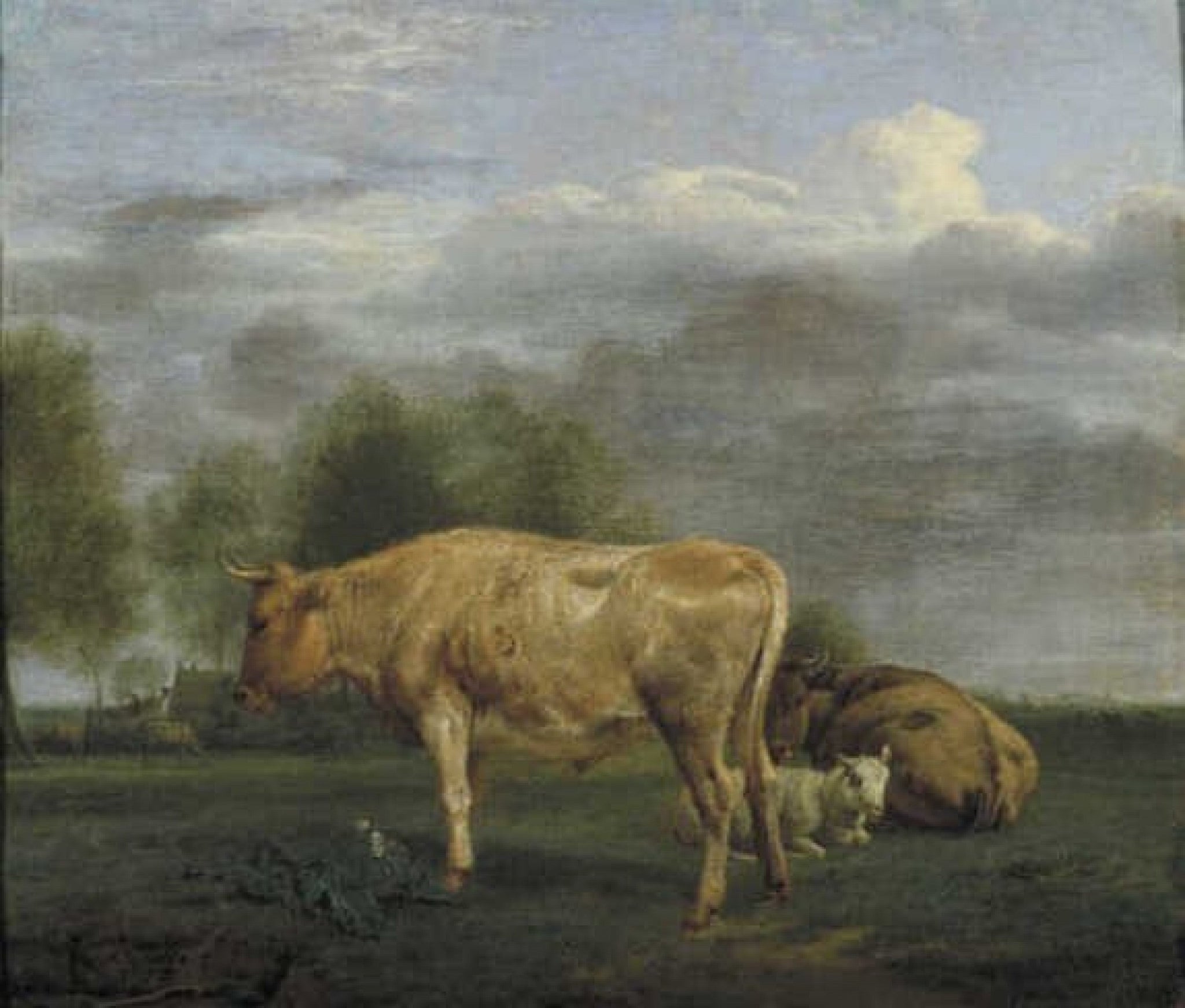 Bétail dans un pré - Adriaen van de Velde image 1 reproduction d’œuvre d’art à l’huile