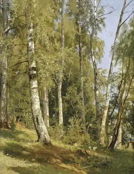 Birch Grove - Ivan Chichkine image 1 tableau peint à l’huile sur toile