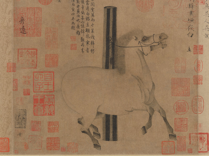 Blanc illuminant la nuit - Han Gan