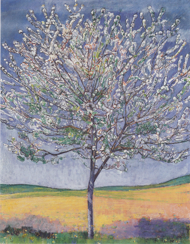 Blühender Kirschbaum - Ferdinand Hodler